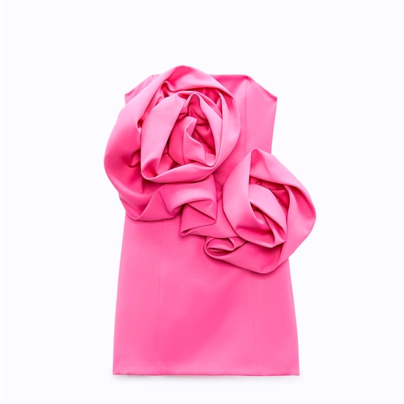 Zara Dresses & Skirts - ZARA NWOT voluminous flower dress